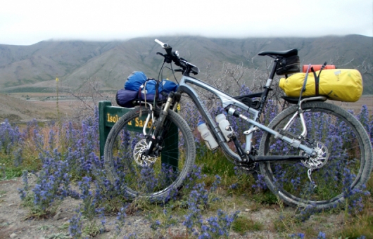 Chris's brevet mule